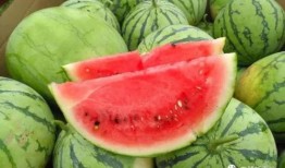 今日吃瓜51cg,揭秘娱乐圈最新热点事件